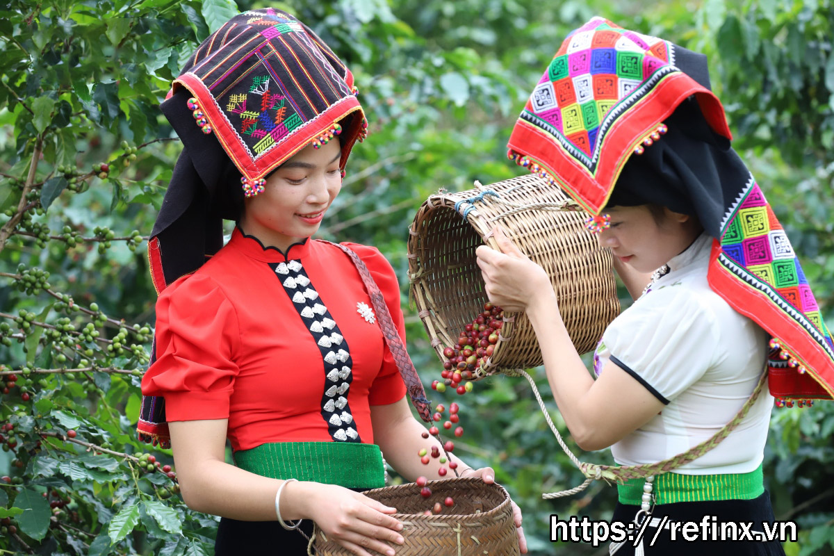 Bà con Sơn La phấn khởi chuẩn bị cho lễ hội cà phê được tổ chức lần đầu tiên